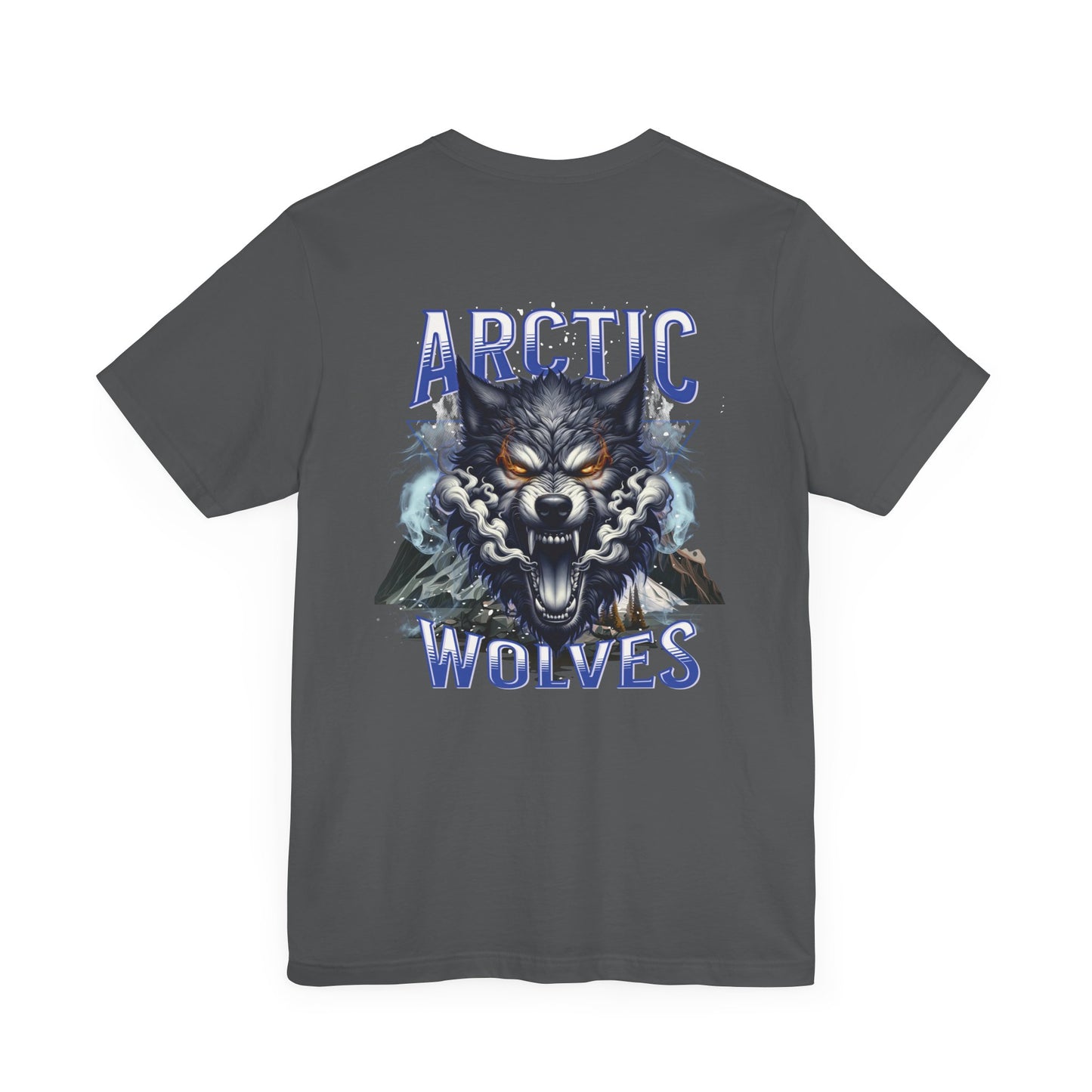 Arctic Wolves | 172nd Stryker Brigade Combat Team (SBCT)